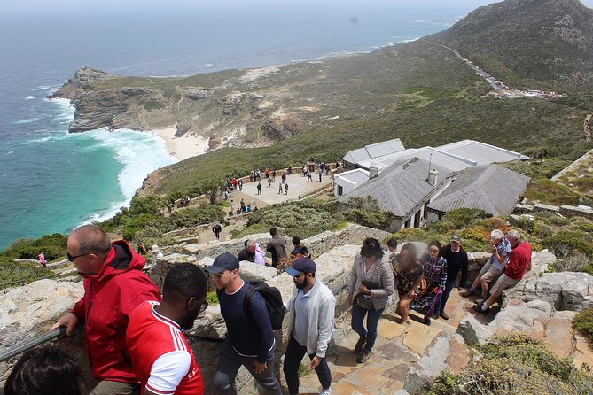Swim with Penguins At Boulders Chapman's Peak Exc Entry Fees - A full Cape Peninsula day from Signal Hill to the Atlantic coast