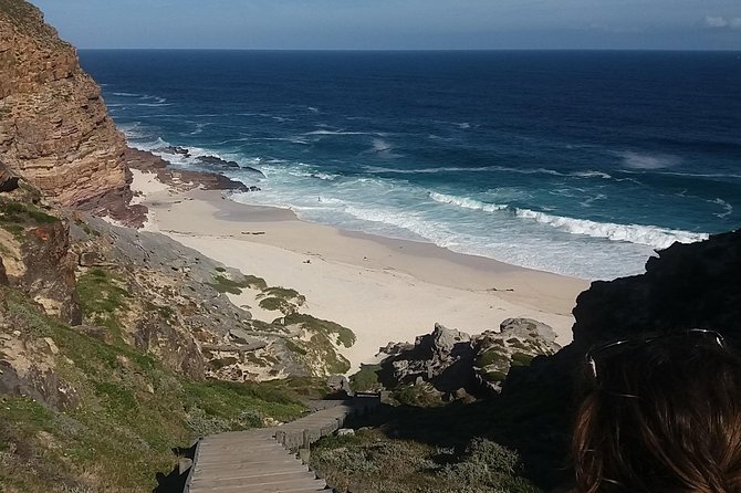 Swim with Penguins At Boulders Chapman's Peak Exc Entry Fees - What the price really covers