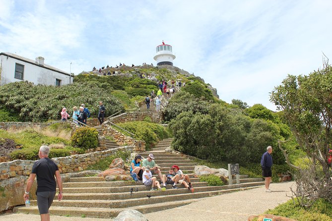 Swim with Penguins At Boulders Chapman's Peak Exc Entry Fees - Hout Bay and the curves of Chapman’s Peak