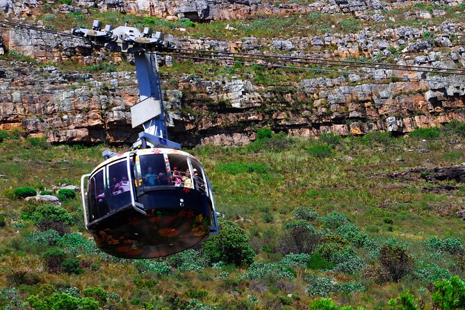 Table Mountain and Cape Peninsula Tour with Penguins - Maiden’s Cove, Camps Bay and Hout Bay