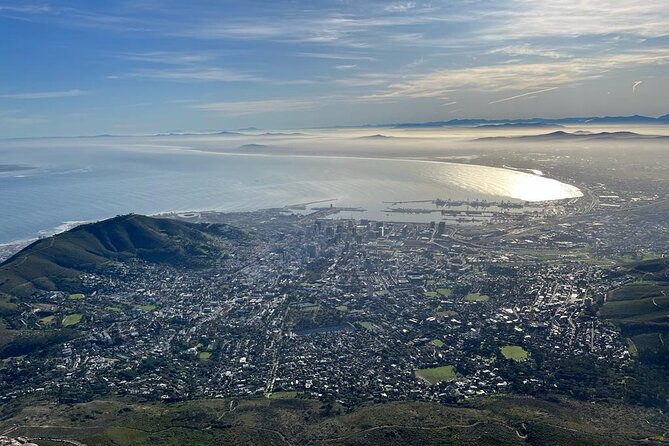 Table Mountain and Penguins Half Day Shared Group Tour - What this half-day Cape Town tour does well