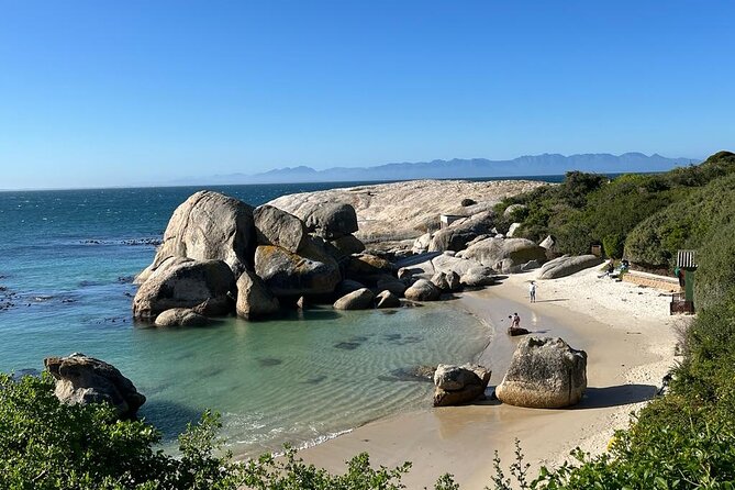 Table Mountain and Penguins Half Day Shared Group Tour - Boulders Beach and the African penguin colony