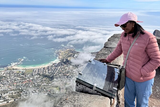Table Mountain and Penguins Private Half Day Tour - Key points at a glance