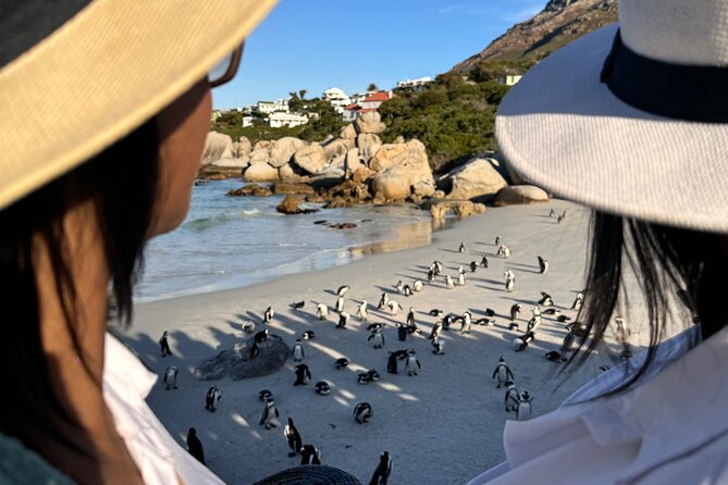 Table Mountain and Penguins Private Half Day Tour - A smart way to see Cape Town in five hours