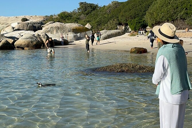Table Mountain and Penguins Private Half Day Tour - Table Mountain and the cable car decision