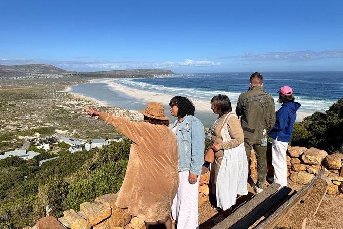 Table Mountain and Penguins Private Half Day Tour - Muizenberg Beach and the colorful huts