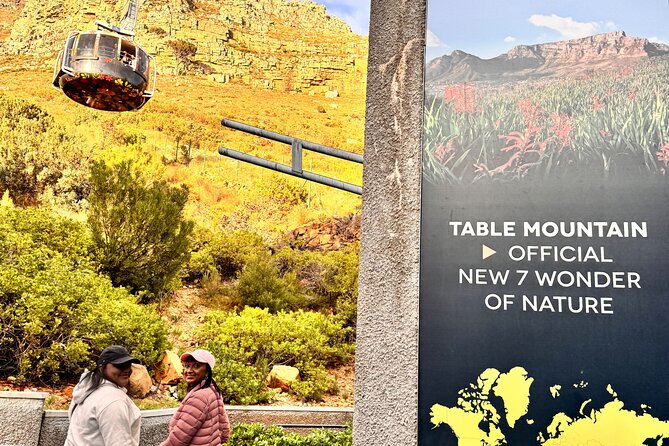 Table Mountain and Penguins Private Half Day Tour - Pickup in central Cape Town