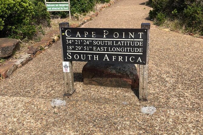 Table Mountain, Boulder's Penguins, Cape of Good Hope&Cape Point - Key points to know before booking