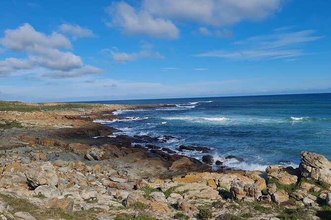 Table Mountain, Boulder's Penguins, Cape of Good Hope&Cape Point - Chapman’s Peak turns the drive into part of the tour