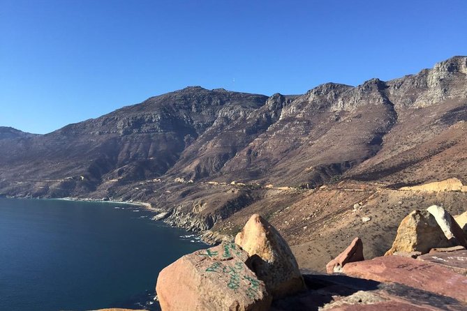 Table Mountain, Boulders Penguins & Cape point Private Day Tour - Cape Point Nature Reserve adds wildlife and open space