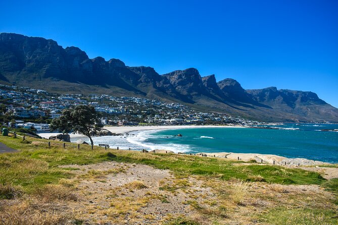 Table Mountain, Boulders Penguins & Cape point Private Day Tour - Table Mountain is the day’s weather-dependent centerpiece