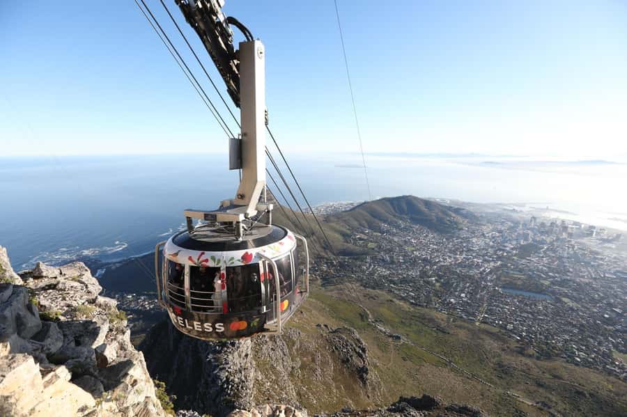 Table Mountain, Cape Of Good Hope, Penguins, Full Day Tour - Key points to know before booking