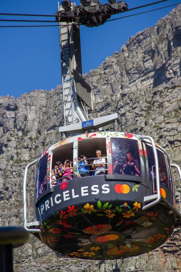 Table Mountain, Cape Of Good Hope, Penguins, Full Day Tour - Hout Bay and the optional Seal Island boat