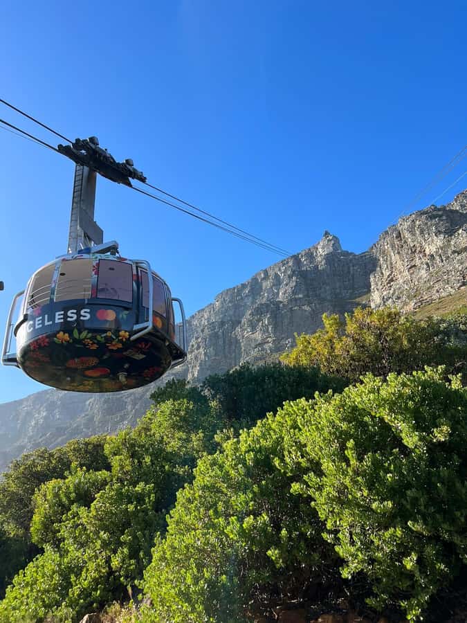 Table Mountain, Cape Of Good Hope, Penguins, Full Day Tour - Cape of Good Hope and Cape Point