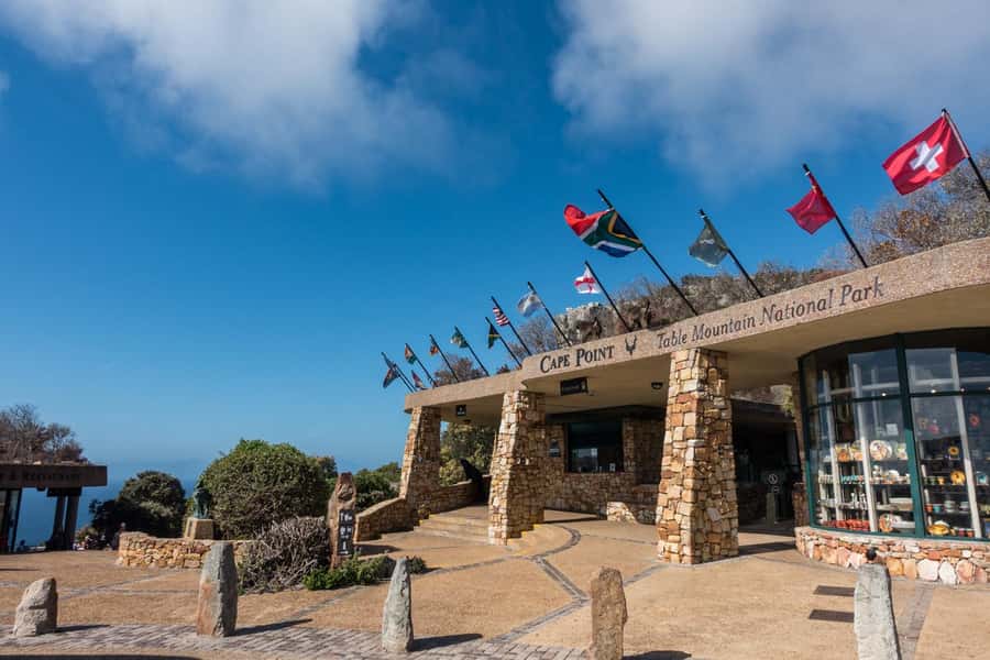 Table Mountain, Cape of Good Hope & Penguins Shared Tour - Key points to know before booking