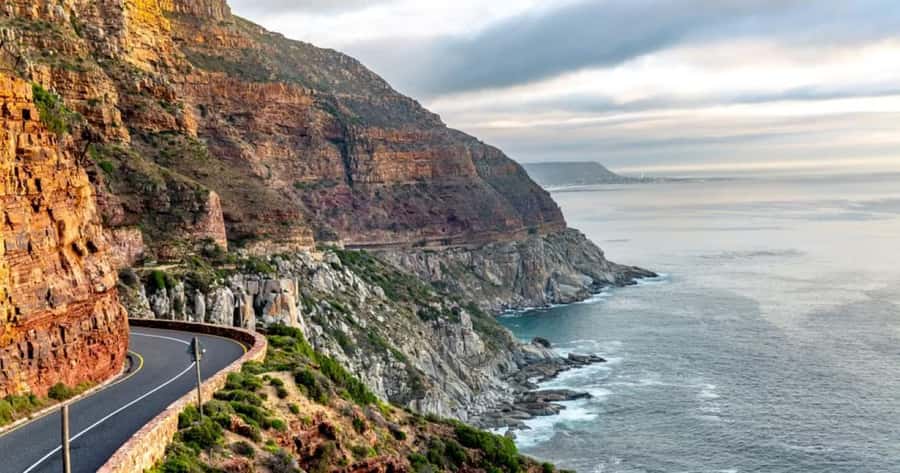 Table Mountain, Cape of Good Hope & Penguins Shared Tour - Boulders Beach and the African penguins