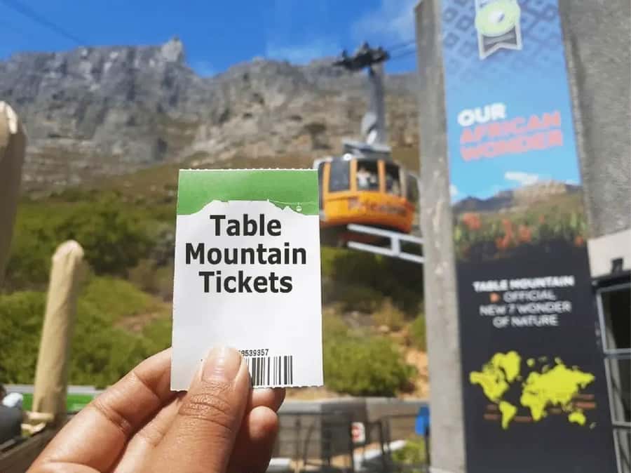 Table Mountain, Cape of Good Hope & Penguins Shared Tour - What the guides add to the experience