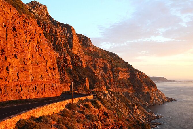Table Mountain, Cape Point & Penguin Beach ENTRANCE INCLUDED - What the $199.32 price really covers
