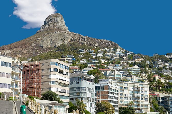Table Mountain, Cape Point & Penguin Beach ENTRANCE INCLUDED - Who will get the most from this tour