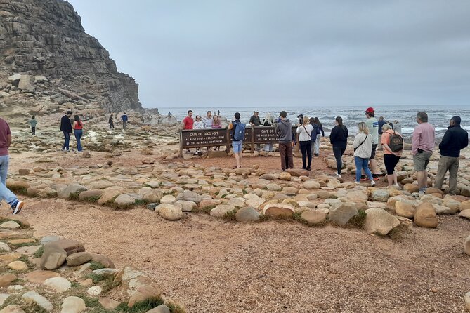 Table Mountain Cape Point Penguin Groot Constantia Private Tour - Key points to know before you book