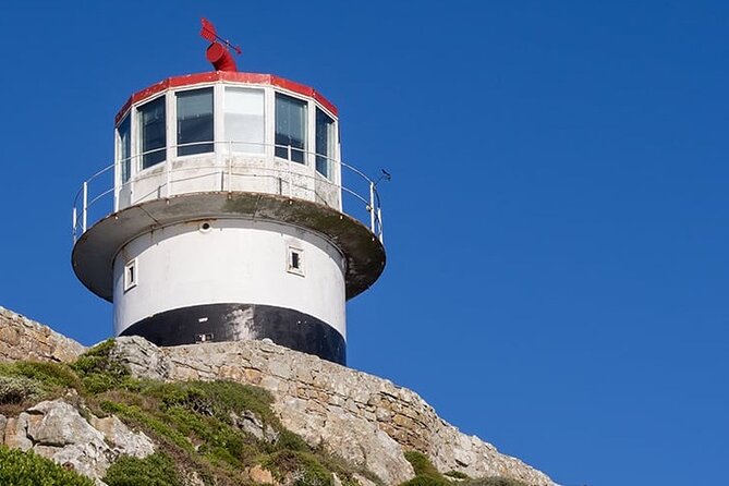 Table Mountain Cape Point Penguin Groot Constantia Private Tour - Camps Bay and the Atlantic seaboard