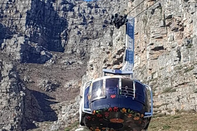 Table Mountain Cape Point Penguin Groot Constantia Private Tour - Meeting the penguins at Boulders Beach