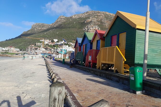 Table Mountain Cape Point Penguin Groot Constantia Private Tour - Cape of Good Hope and the nature reserve