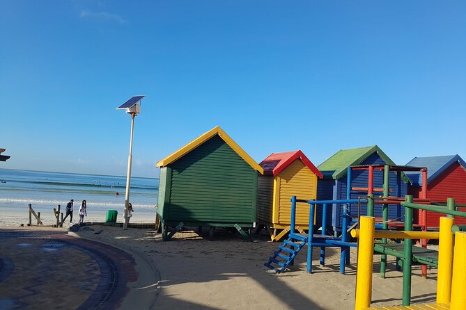 Table Mountain Cape Point Penguin Groot Constantia Private Tour - Cape Point, the lighthouse, and lunch choices