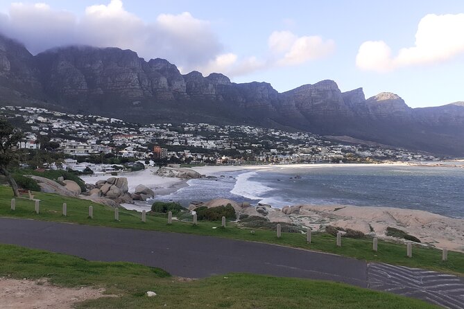 Table Mountain, Cape Point & Penguins Private ,From Cape Town - Boulders Beach is the wildlife highlight