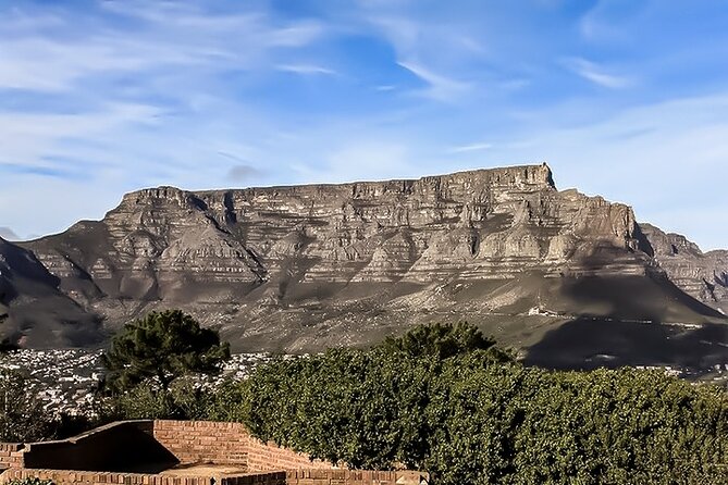 Table Mountain, Chapmans Peak Drive, Cape Point & Penguins - Table Mountain and the five-minute cable car ride