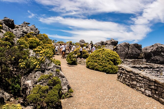 Table Mountain, Chapmans Peak Drive, Cape Point & Penguins - Should you book this Cape Peninsula tour?
