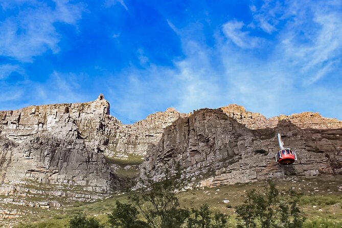 Table Mountain, Chapmans Peak Drive, Cape Point & Penguins - Boulders Beach and the African penguins