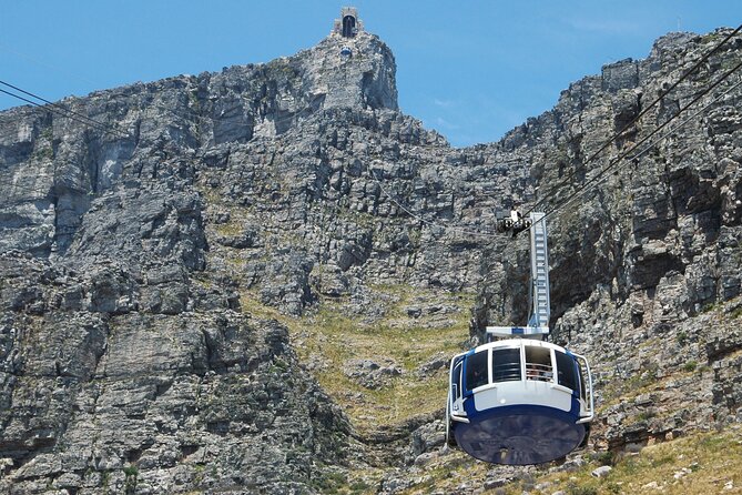 Table Mountain, Penguin,Cape Point Private Day Tour in Cape Town - One long day from Table Mountain to Cape Point