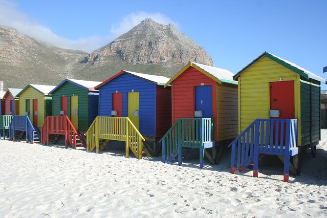 Table Mountain, Penguin,Cape Point Private Day Tour in Cape Town - Cape of Good Hope and Cape Point offer the wildest scenery