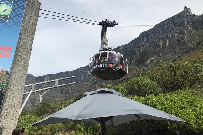 Table Mountain, Penguins and Cape Point Sharing GroupTour - Why this Cape Town day works so well