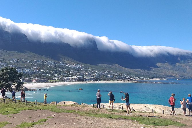 Table Mountain, Penguins, Cape of good hope and Stellenbosch tour - Cape of Good Hope and the old lighthouse