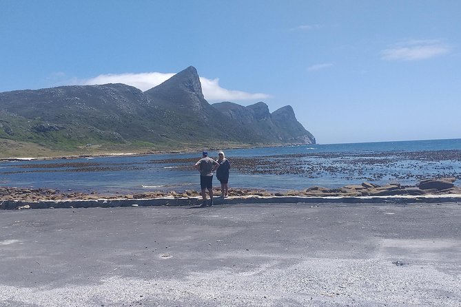Table Mountain, Penguins, Cape of good hope and Stellenbosch tour - Kalk Bay and Muizenberg on the way inland