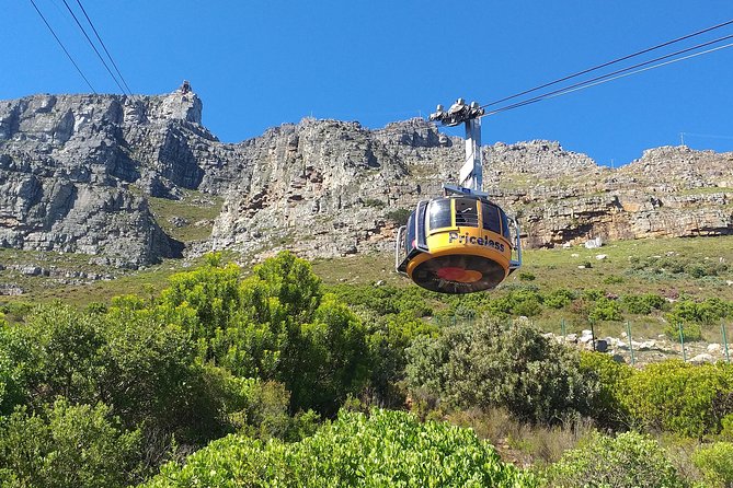 Table Mountain, Penguins, Cape of good hope and Stellenbosch tour - Stellenbosch brings a calmer final act