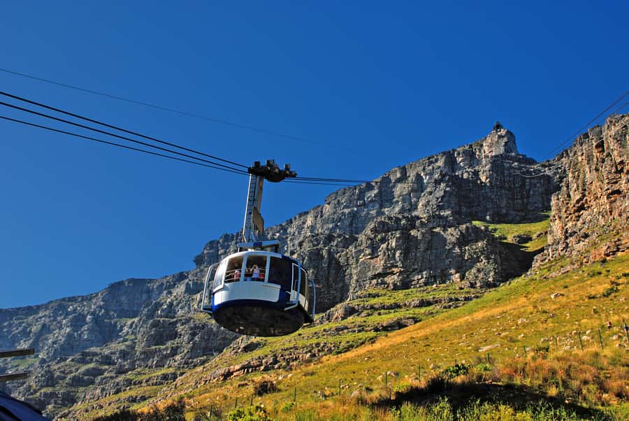 Table Mountain, Penguins & Cape of good hope full day Tour - Why this Cape Town day works