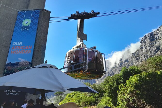 Table Mountain, Penguins & Cape of Good Hope Private Tour - Key points at a glance
