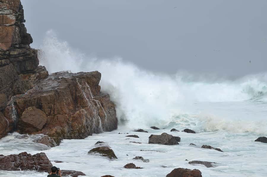 Table Mountain, Penguins & Cape of Good Hope Private Tour - The real cost and overall value