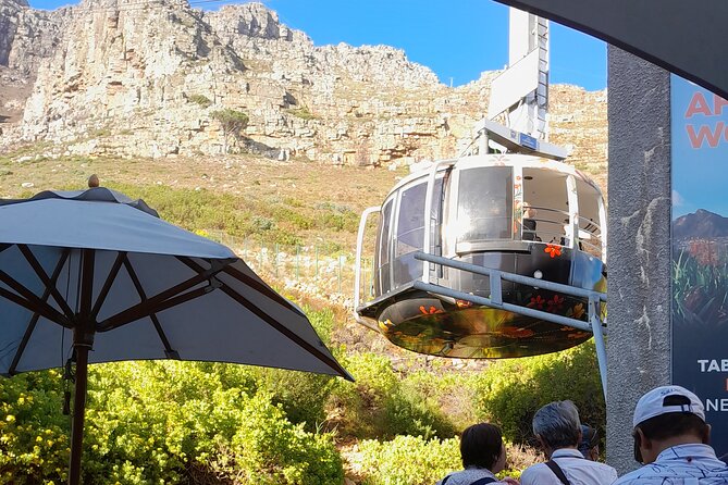 Table Mountain, Penguins & Cape of Good Hope Private Tour - Bo-Kaap, Camps Bay, and Hout Bay
