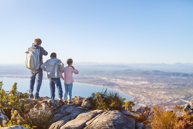 Table Mountain, Penguins & Cape of Good Hope Small Group Top Tour from Cape Town - Table Mountain and the cableway decision