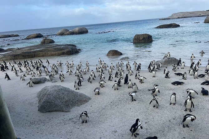 Table Mountain, Penguins & Cape of Good Hope Small Group Tour - A big Cape Town day from Bo-Kaap to Muizenberg