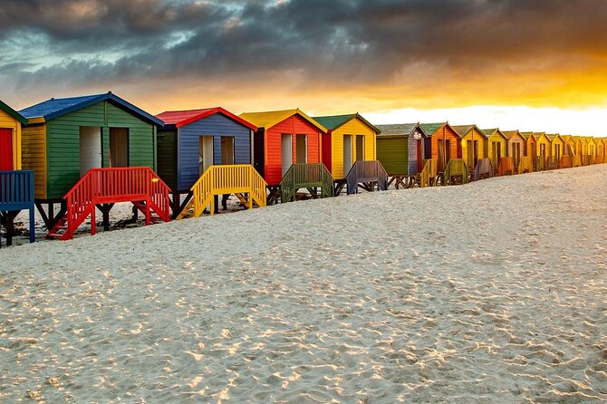 Table Mountain, Penguins & Cape of Good Hope Small Group Tour - Boulders Beach is the animal encounter
