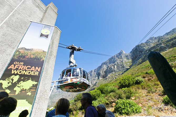 Table Mountain, Penguins & Cape Point Small Group Tour Cape Town - Coastal views from Maidens’ Cove to Chapman’s Peak