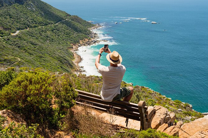 Table Mountain, Penguins Colony and Cape of Good Hope Small Group Shared Tour - Chapman’s Peak Drive is more than a transfer
