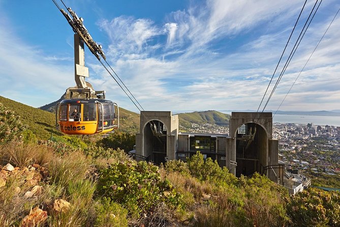 Table Mountain, Penguins Colony and Cape of Good Hope Small Group Shared Tour - Cape of Good Hope is the emotional high point