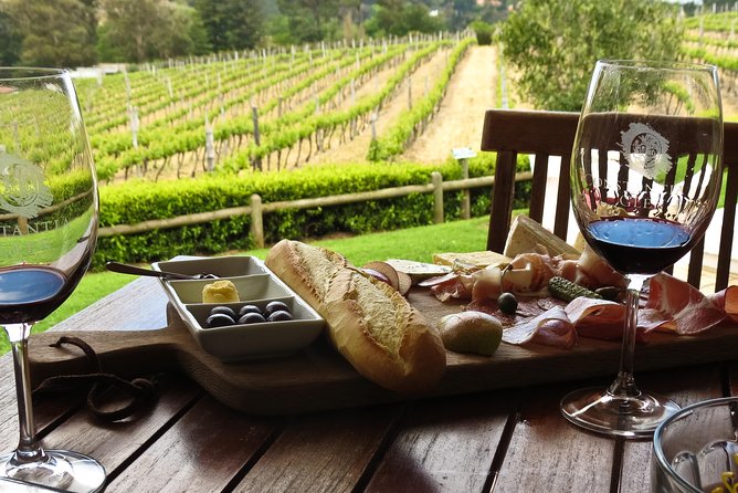 Table Mountain-Wines-Penguins-Cape Point All Inclusive Group Tour - Cape Point Vineyards and six wines