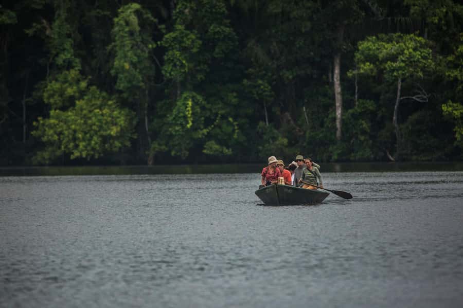 Tambopata Macaw Clay Lick 3 days/2 nights - What staying at Hacienda Tambopata Lodge is like